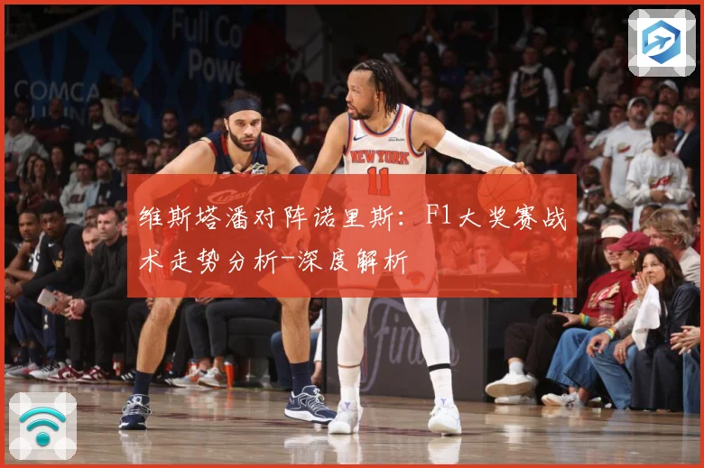 维斯塔潘对阵诺里斯：F1大奖赛战术走势分析-深度解析