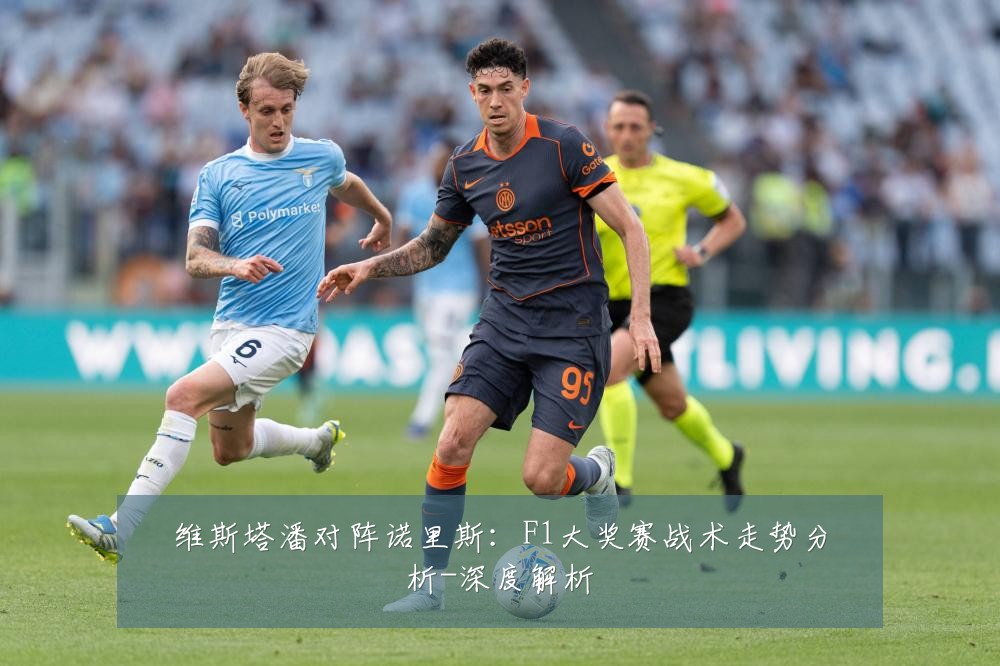 维斯塔潘对阵诺里斯：F1大奖赛战术走势分析-深度解析